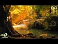 Download Lagu Endless: Relaxing Zen Music for Yoga, Meditation, Mindfulness \u0026 Sleep