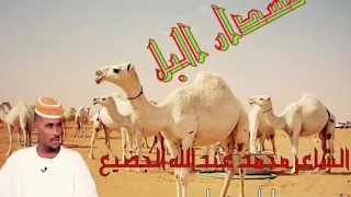 الشاعر محمد عبدالله الجضيع مسدار جقله 