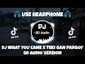 Download Lagu DJ WHAT YOU CAME X TEKI GAN PARGOY SANTUY VIRAL TIKTOK (Kelud Music) 8D Audio Version