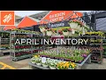New at Home Depot Garden Center April 2026 Spring Plant Arrivals