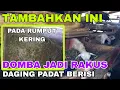 Download Lagu BAHAN UNTUK RACIKAN RUMPUT KERING | PAKAN DOMBA BAGUS