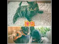 撞色 (feat. CheukLung & Timnawty)