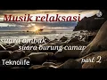 Download Lagu MUSIK RELAKSASI dengan suara ombak dan suara burung camar part 2