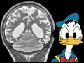 Quiz 511