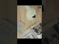 Paint that can be used on appliances