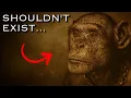 Download Lagu Humanzee: The Genetic Mystery of Oliver | Early Humans Documentary