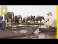 Saving One of the Most Pristine Wetlands on Earth National Geographic
