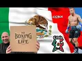 Download Lagu No Boxing No Life CANELO ALVAREZ BOXING BOOTS FULL IN DEPTH REVIEW AND RATING