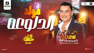 مولد الدلوعه 2026 احمد التونسي الغمراوي ترندات الحظ الشعبي مواويل وحظ شعبي 