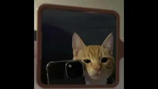 NUMBER TWERKNATION28 