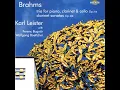 Sonata No. 2 for Clarinet and Piano in E-Flat Major, Op. 120, No. 2: I. Allegro amabile