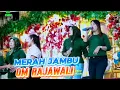 Download Lagu Cinta merah jambu | OM Rajawali Musik palembang | desa Lubuk pandan | Acara BpkTarmizi | Rca studio
