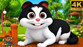 Meow Meow Billi Kerti Meow | म्याऊँ म्याऊँ बिल्ली करती म्याऊँ | Hindi Rhyme | Nursery Rhyme for Kids