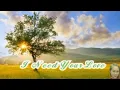 I Need Your Love - Lou Bonnevie
