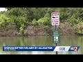 Alligator bites woman s arm in Marion County s say