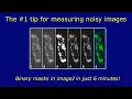 Measuring noisy images using binary masks in ImageJ