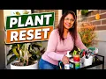 5 Essential Indoor Plant Storage Hacks on a Budget Setup Tour