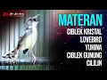 Download Lagu MASTERAN CIBLEK KRISTAL - LOVEBIRD - YUHINA - CIBLEK GUNUNG - CILILIN