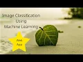 Image Classification with Web App Using Machine Learning