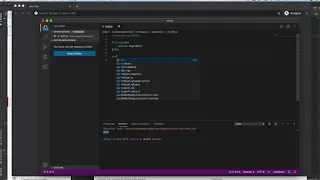Self Invoking Function Javascript example