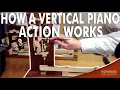 How A Vertical Piano Action Works I HOWARD PIANO INDUSTRIES