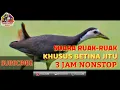 Download Lagu SUARA PIKAT  RUAK-2  BETINA PALING AMPUH TERBARU DURASI 3 JAM MANTEP 100% POINT LANGSUNG BAWA PULANG