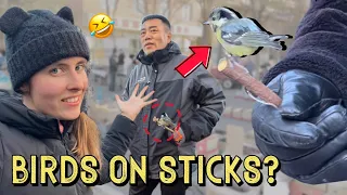 内蒙古体验：探索中国西北边疆｜内蒙冬日一日游，看看我能挖出多少有趣的东西