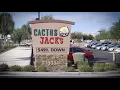 Cactus Jacks Web Background 3