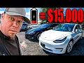 No One Is Telling You The TRUTH ABOUT TESLA So I Have To