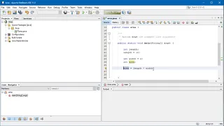 Netbeans Variables and data types