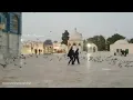 Download Lagu Bika Moulhimi Maher Zain |Masjid e Aqsa|