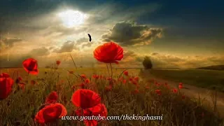 MAZOUNI ANA RAJEL FALLAH MP4 Nostalgie YouTube 