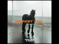 FAST BOY x Topic - Forget You (Official Audio)