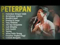 Download Lagu PETERPAN - LAGU POPULER 2000AN | PETERPAN FULL ALBUM TERBAIK TERPOPULER