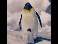 Did You Know Happy Feet Three - George Miller Will Never Do Third Movie l Film Trivia Shorts
