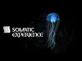 Fascial Sound Bath Dissolve Somatic Memory Using Low Frequency Resonant Drone Tones