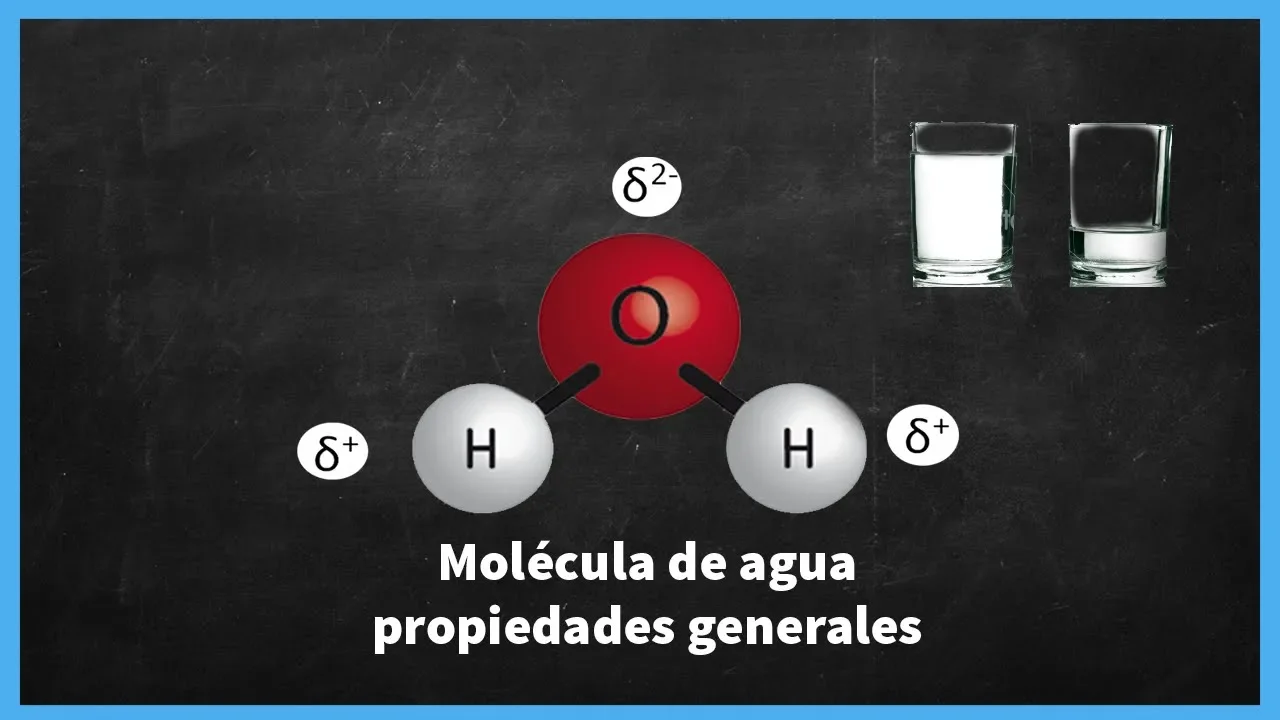 PROPIEDADES GENERALES DE LA MOLÉCULA DE AGUA | QUÍMICA MR PLANCK 2019 HD