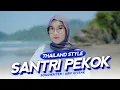 Download Lagu DJ Topeng - Santri Pekok Thailand Style (Official Cinematic Video)