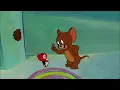 Tom & Jerry | Bird Attack! | Classic Cartoon Compilation | WB Kids