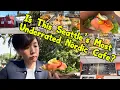 Seattle Seattle s most underrated Nordic Cafe Scandinavian Specialties in Ballard Seattle