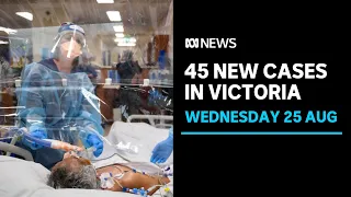 Download Victoria records 45 new local COVID-19 cases, workers fly in to bolster hospital network | ABC News MP3