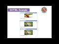 16 HTML JS DHTML