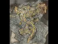 Smithbox Importing - Elden Ring Shadow of the Erdtree Ver 1 12 4
