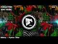 Download Lagu Forgotten EDM Music vol. 7 (Jungle Terror)