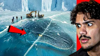 14 Criaturas Misteriosas Encontradas Congeladas na Antártida 😱