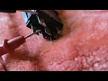 HOW TO TEST A PTO SWITCH