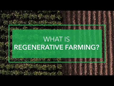What Is Regenerative Farming?
