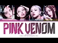 BLACKPINK Pink Venom Lyrics (블랙핑크 Pink Venom 가사) (Color Coded Lyrics)