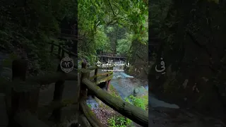 حالات قرآن والسابقون السابقون 