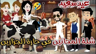 شلة المجانين في حاره الجزارين يوميات بسمه وشلة المجانين 